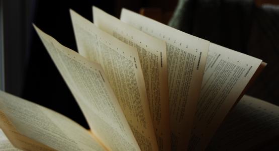 Image by Sam on Flickr Image by Sam on Flickr