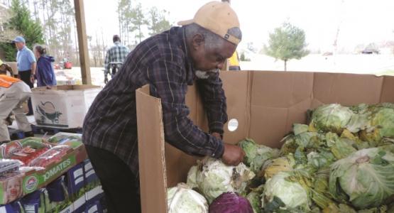 A volunteer picks out fresh produce for community members living in the Yale church area. A volunteer picks out fresh produce for community members living in the Yale church area.