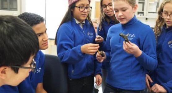 Mercer Fox, a fifth-grader, holds a “fire snake” during a STEM Buddies session. Mercer Fox, a fifth-grader, holds a “fire snake” during a STEM Buddies session.